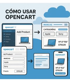 Curso Virtual E-Commerce con Dropshipping en Español