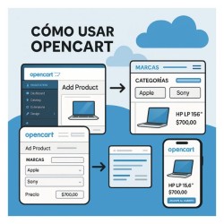 Curso Virtual E-Commerce con Dropshipping en Español