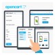 Curso Virtual E-Commerce con Dropshipping en Español